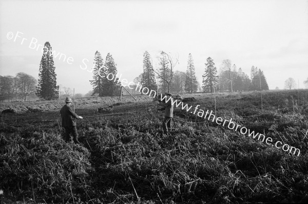 MARKING OUT LINES FOR PLANTING NEAR WELLINGTONIA AVENUE